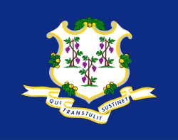 Connecticut Flag